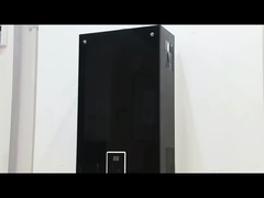 10L 2.6GPM ウォーターヒーター ブラックコーティング パネル LPG NG ガスのタイプ