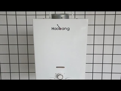 10L 2.6GPM ウォーターヒーター ブラックコーティング パネル LPG NG ガスのタイプ