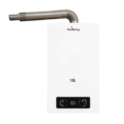 16L 18L 220V Wall Mounted Balanced Exhaust Gas Water Heater for Household and Commercial Use