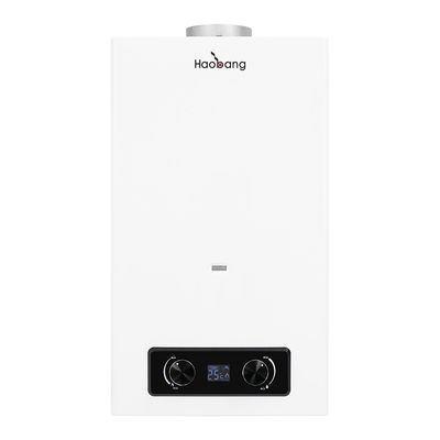 2本ボタン型 10L 2.64GPM ガス式水温器 インスタントLPGNG